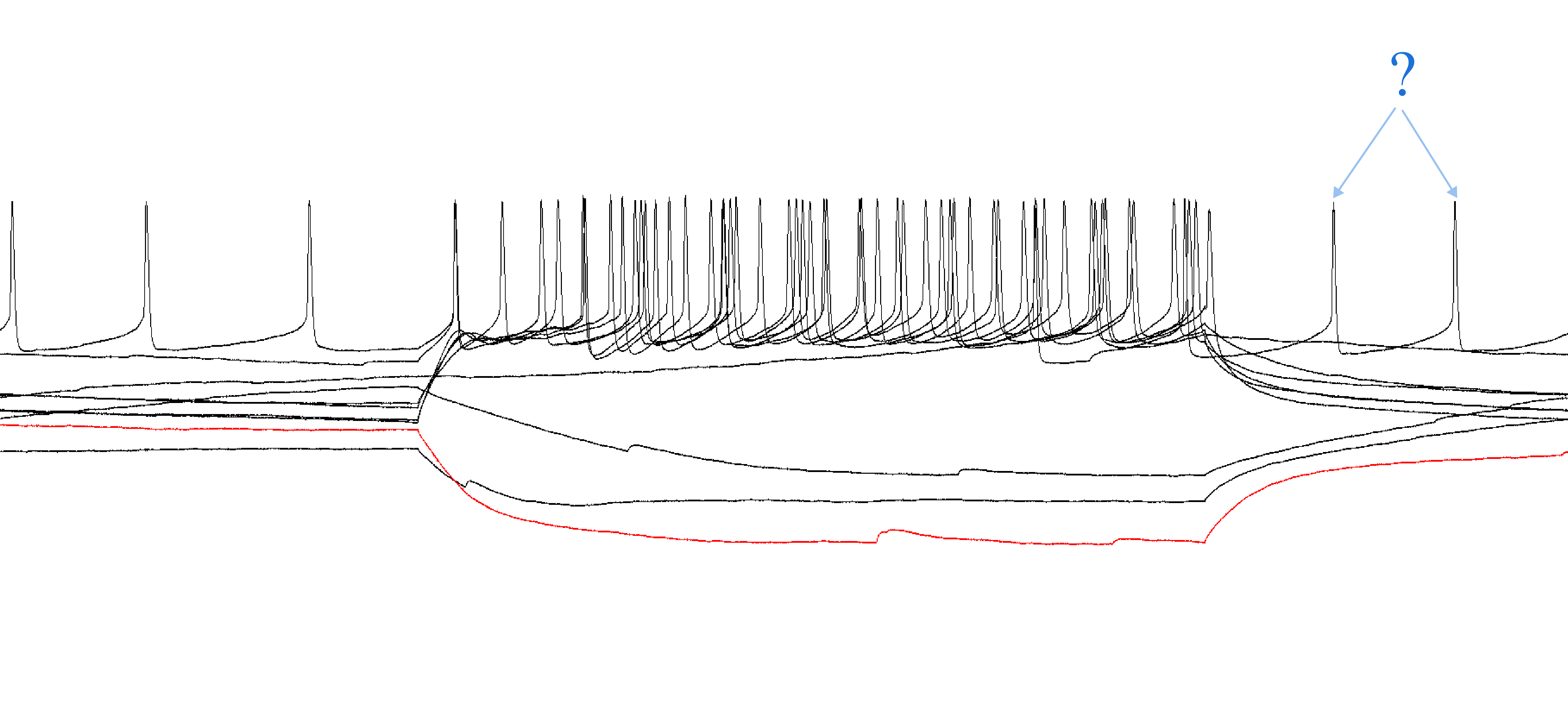 A screenshot of a recording in Clampfit showing action potentials present outside of the range where a current injection was applied.