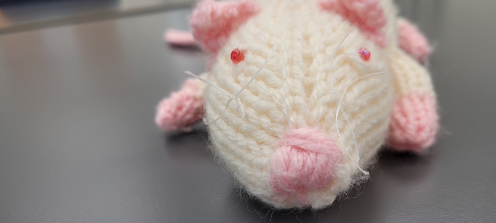 A picture of a knitted white rat looking directly at the viewer.