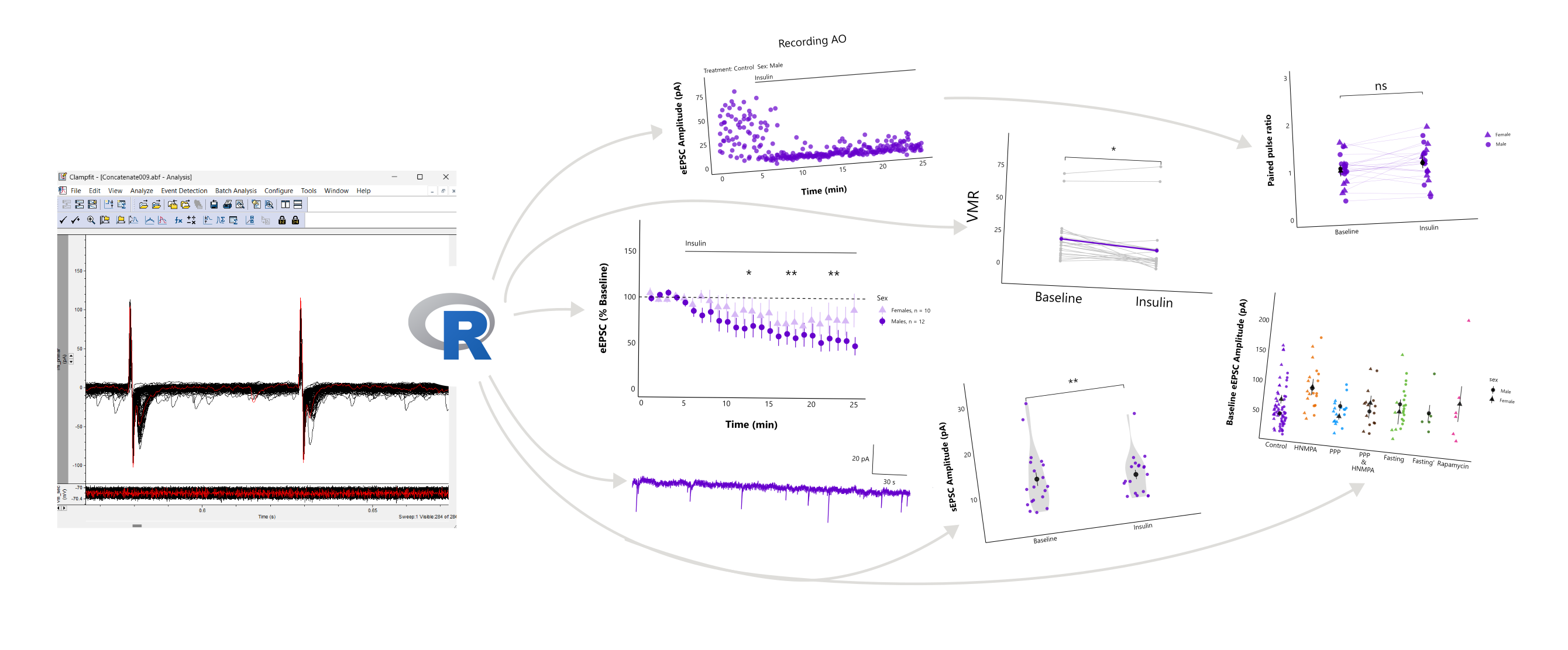 A banner with pictures of some of the plots that can be created with the patchclampplotteR package.